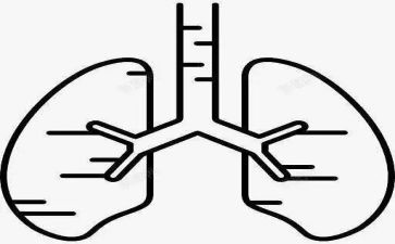 肺保姆工作总结6篇