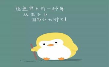农药化肥购销合同7篇