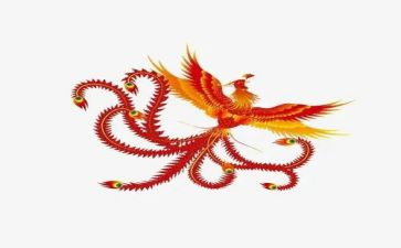 游凤凰湾的作文5篇