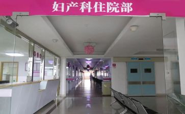 2024年妇科医生个人总结5篇