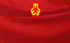 对村妇联工作总结参考5篇