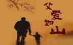 我的父亲像作文8篇