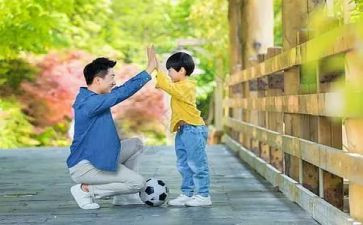 父与子读后感300字最新6篇
