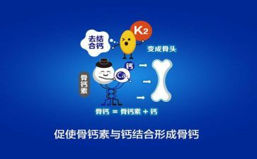 钙的活动策划优质8篇