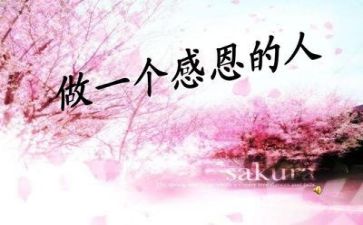 感恩作文300字精选7篇