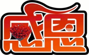感恩老师的优秀演讲稿参考7篇