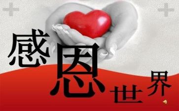 关于老师感恩的演讲稿优秀6篇