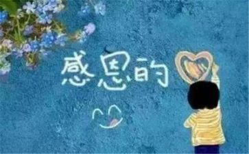 800字的感恩演讲稿最新6篇