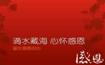 感恩老师的优秀演讲稿6篇