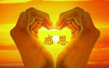 感恩作文500字8篇