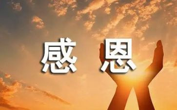 感恩的作文范文精选6篇