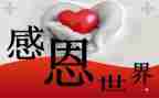 关于老师感恩的演讲稿优秀6篇