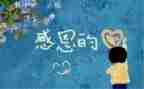800字的感恩演讲稿最新6篇