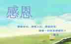 感恩教师的作文500字5篇