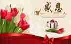 感恩作文500字优秀6篇