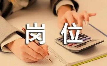 实习会计岗位工作总结7篇