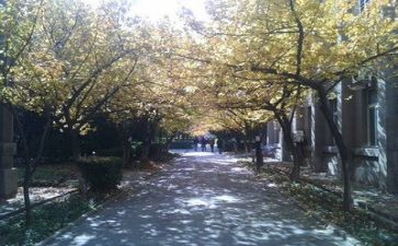 高校新教师心得体会范文6篇