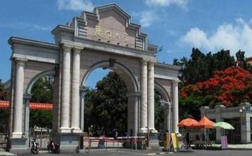 2024年高校教师个人述职报告8篇