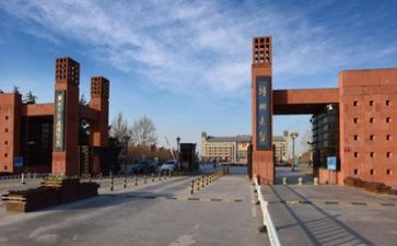 2024年高校教师总结参考5篇