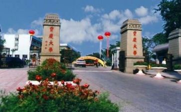 2024年高校教师总结优质5篇