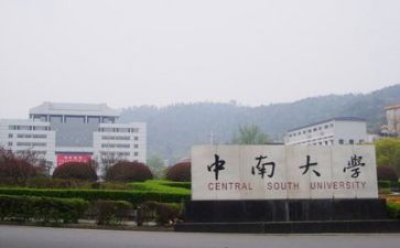 高校教师的个人总结优秀5篇