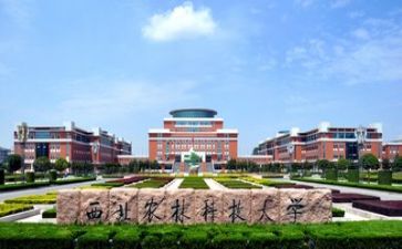 2024年高校教师年终工作总结参考5篇
