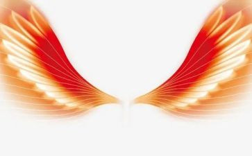 展开想象的翅膀飞作文7篇