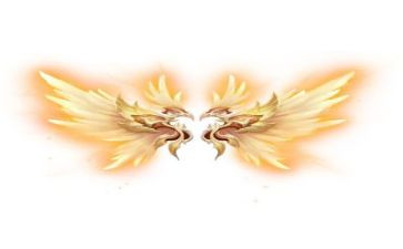 展开想象的翅膀飞作文通用5篇