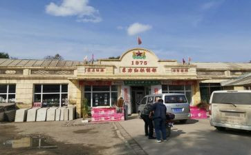 2024年县供销社工作总结6篇
