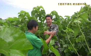 致富带头人事迹材料6篇