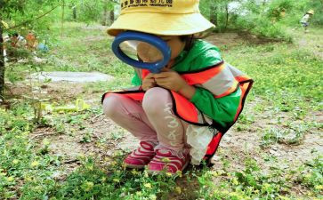 幼儿园观察心得体会7篇