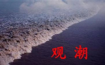 《观潮》教案参考6篇
