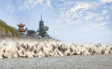观潮读后感100字7篇