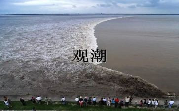 观潮的读后感200字7篇