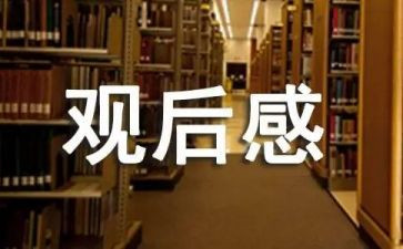 观看榜样五心得体会观后感5篇