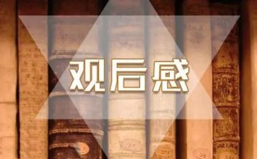 朱?观后感作文500字5篇