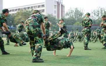 观训军训个人总结优秀6篇