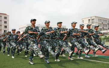 观训军训个人总结最新6篇