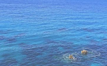 海蒂的读后感400字7篇