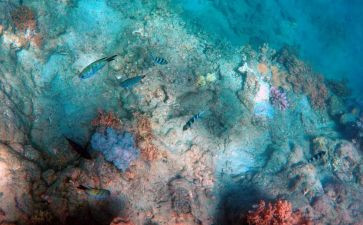 海底两万里100读后感最新5篇