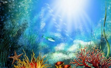 海底两万里100读后感精选5篇