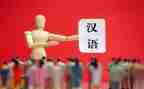 汉语言文字心得体会7篇