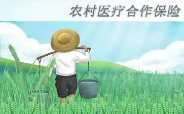 个人合疗工作总结7篇