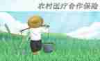个人合疗工作总结7篇