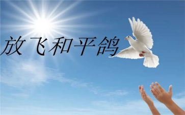 和平与战争读后感最新6篇
