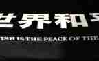 国际和平日演讲稿7篇