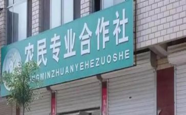 合作社的年度工作总结6篇
