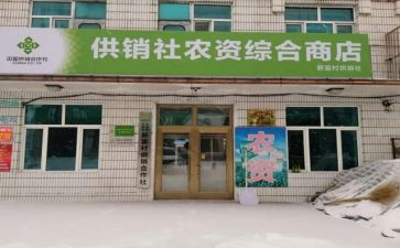 合作社调研报告7篇