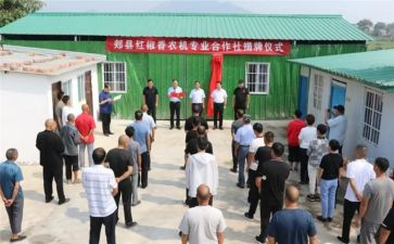 农民合作社调研报告5篇
