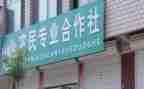 合作社的年度工作总结6篇
